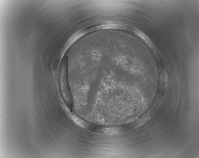 X0000053011418200508051148