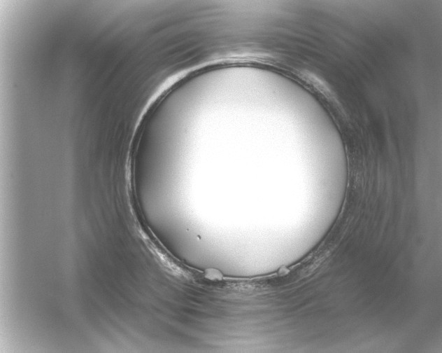 X0000053011420200508051148