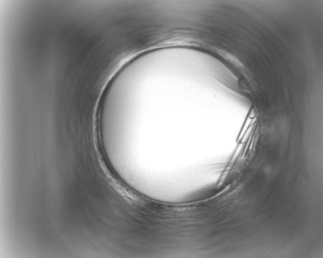 X0000053011423200508051148