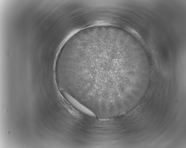 X0000053011427200508051148