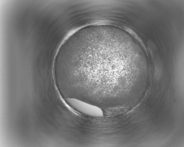 X0000053011429200508051148