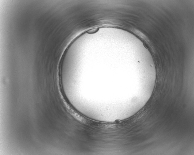 X0000053011431200508051149