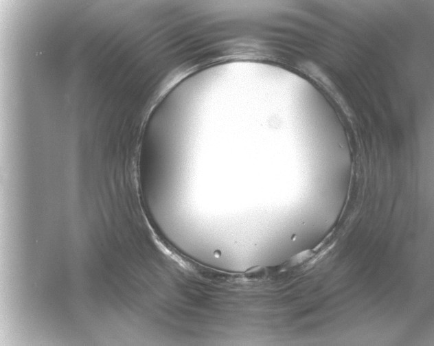 X0000053011433200508051149