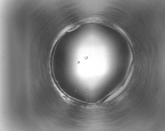 X0000053011434200508051149