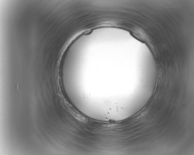 X0000053011435200508051149