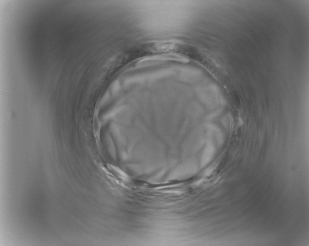 X0000053011441200508051148