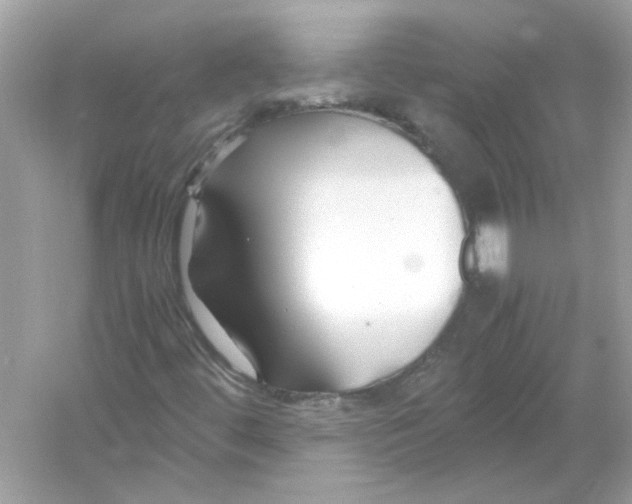 X0000053011444200508051148