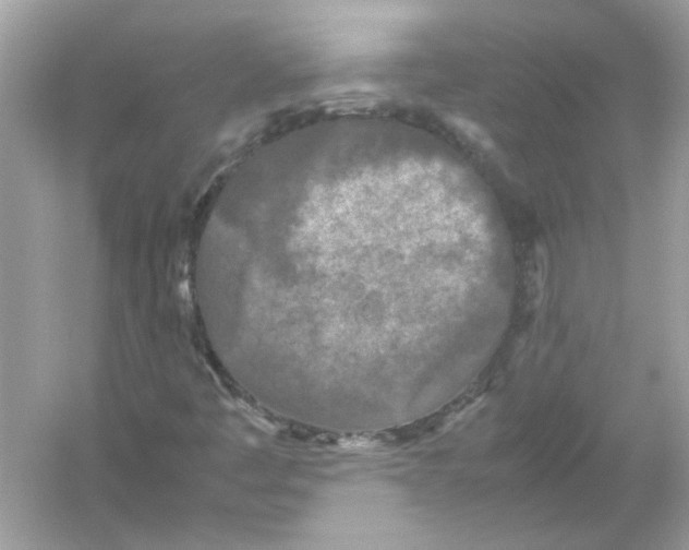 X0000053011445200508051148