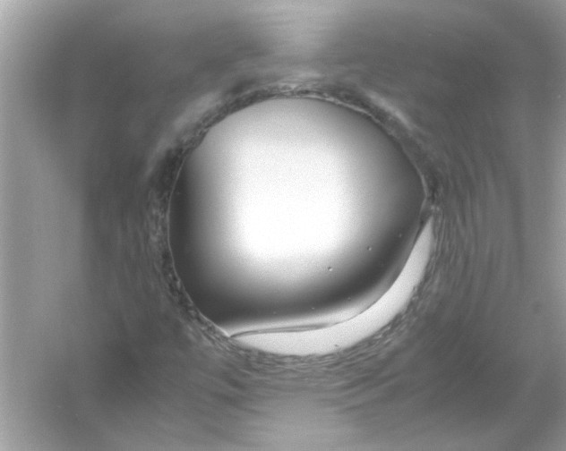 X0000053011447200508051148