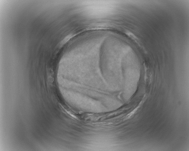 X0000053011449200508051148