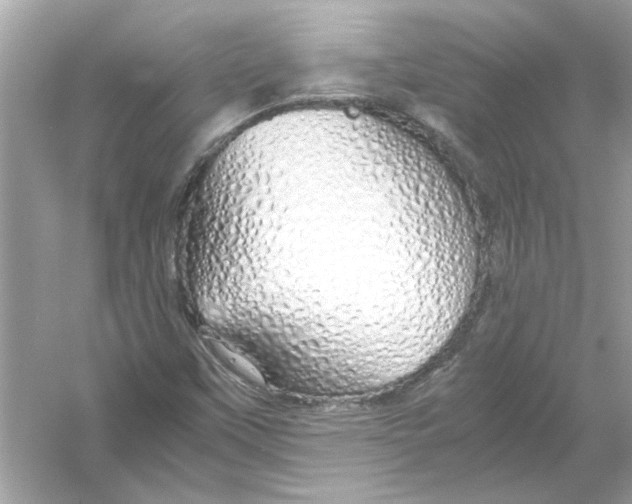 X0000053011451200508051148