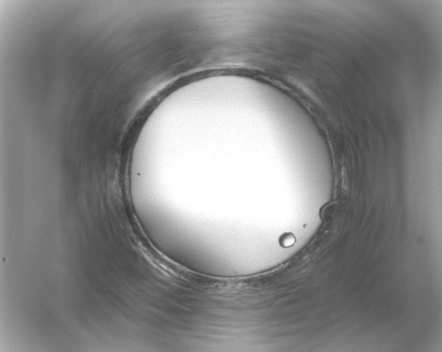 X0000053011452200508051148