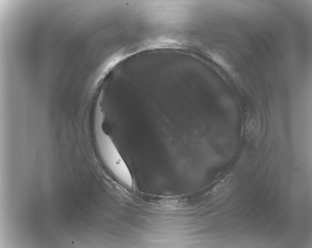 X0000053011455200508051148