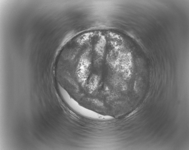 X0000053011459200508051148