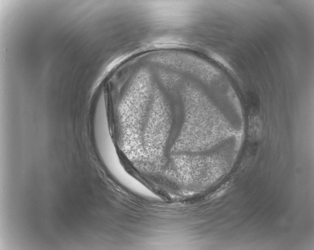 X0000053011461200508051148