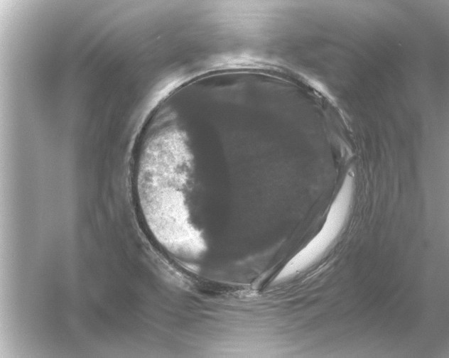 X0000053011463200508051147