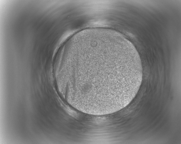 X0000053011470200508051147