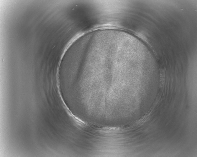 X0000053011474200508051147