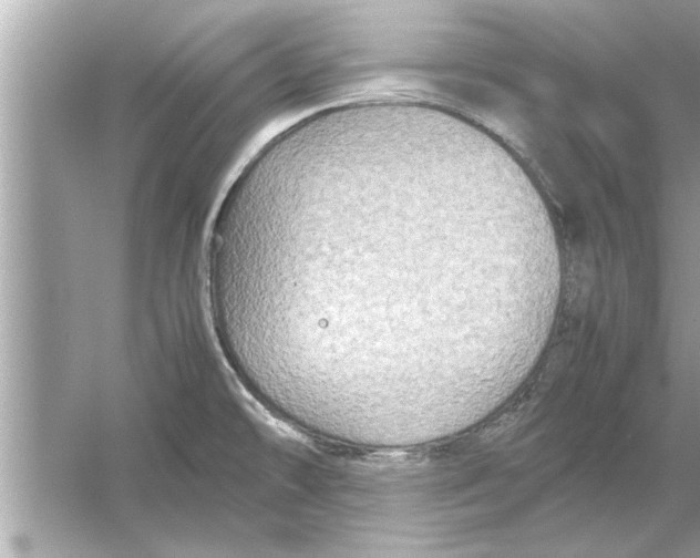 X0000053011478200508051147