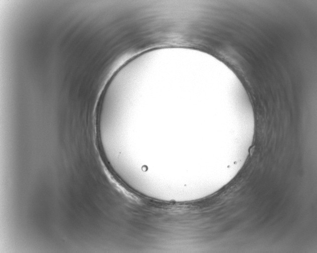 X0000053011479200508051147