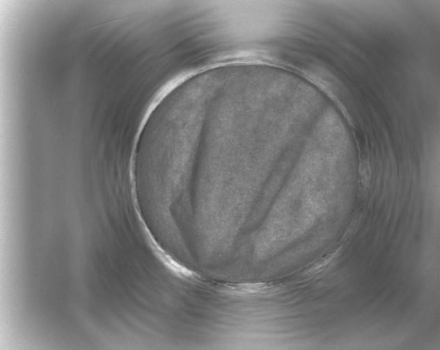 X0000053011482200508051147