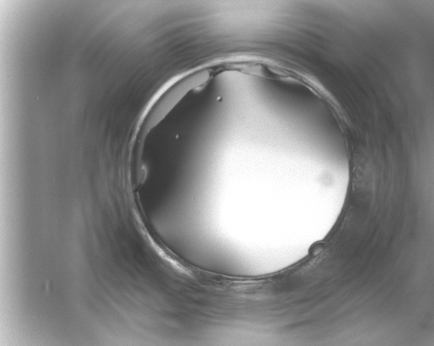 X0000053011484200508051147