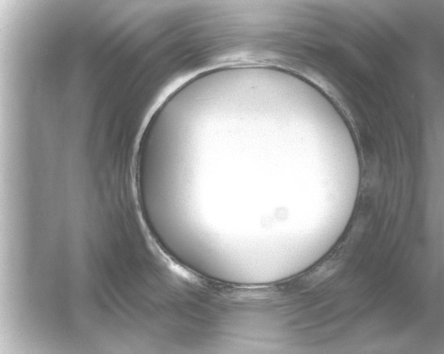 X0000053011486200508051147