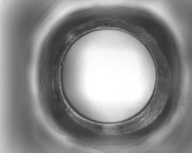 X0000053011487200508051147