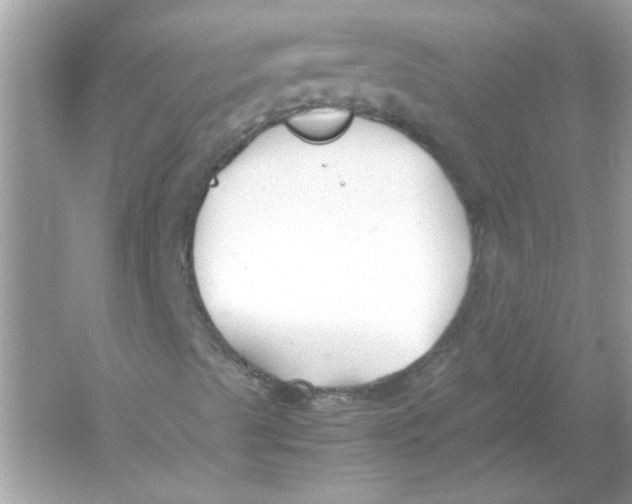 X0000053011489200508051146