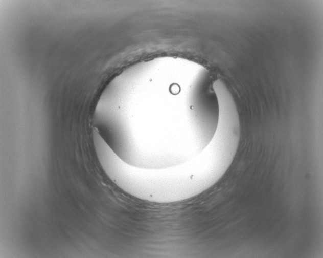 X0000053011492200508051146