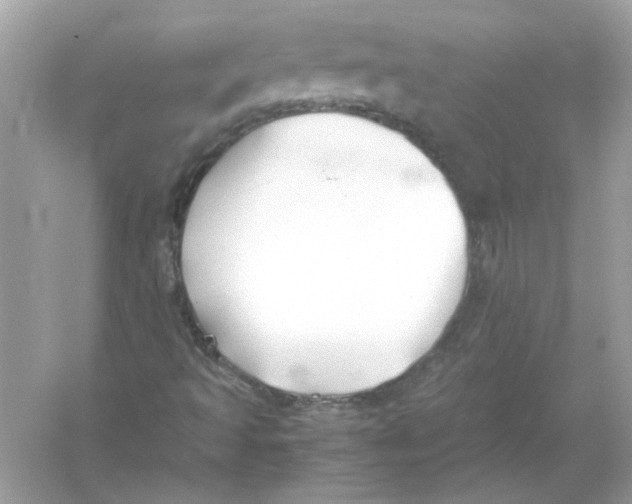 X0000053011493200508051146