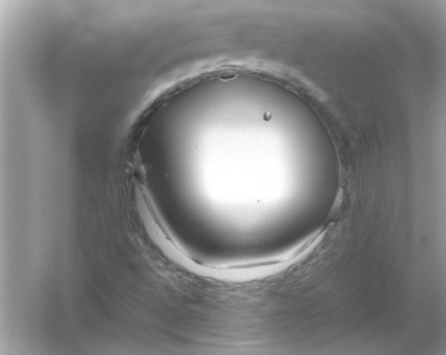 X0000053011496200508051146