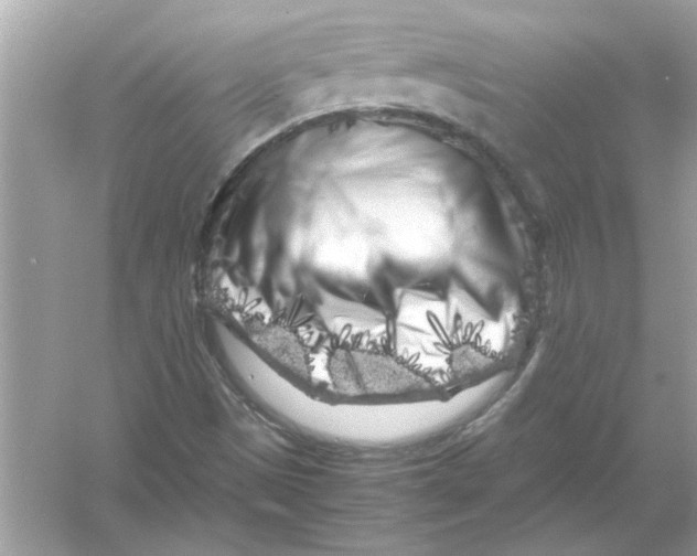 X0000053011497200508051146