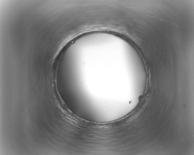 X0000053011501200508051146