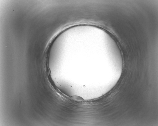 X0000053011504200508051147