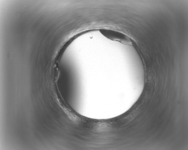 X0000053011507200508051147