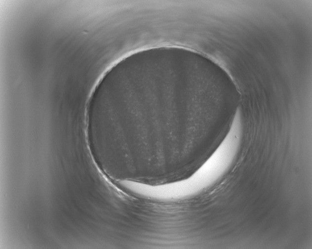 X0000053011508200508051147