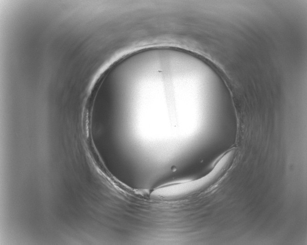 X0000053011510200508051147