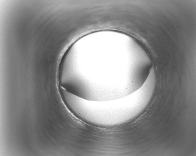 X0000053011512200508051147