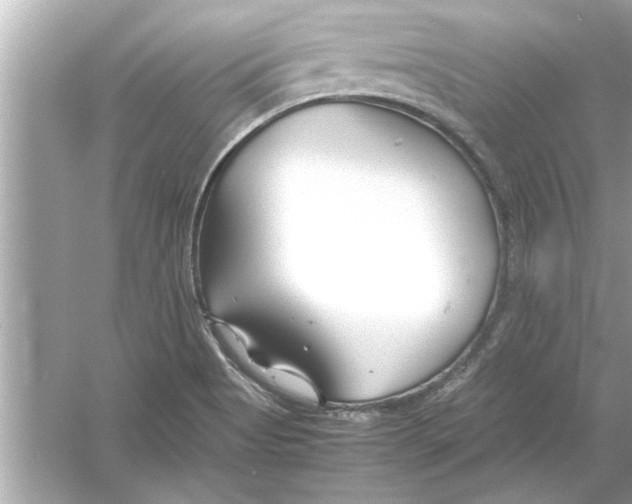 X0000053011513200508051147