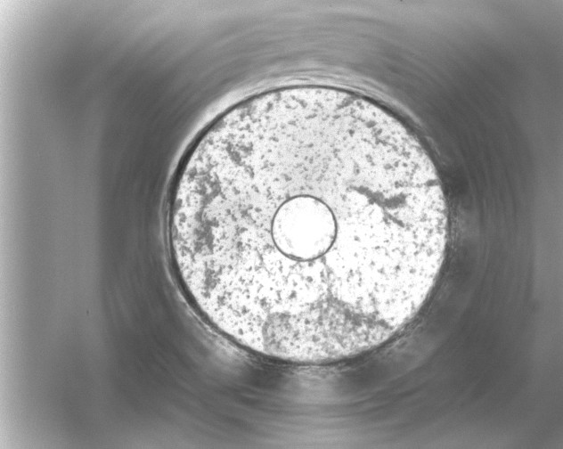 X0000053011514200508051147