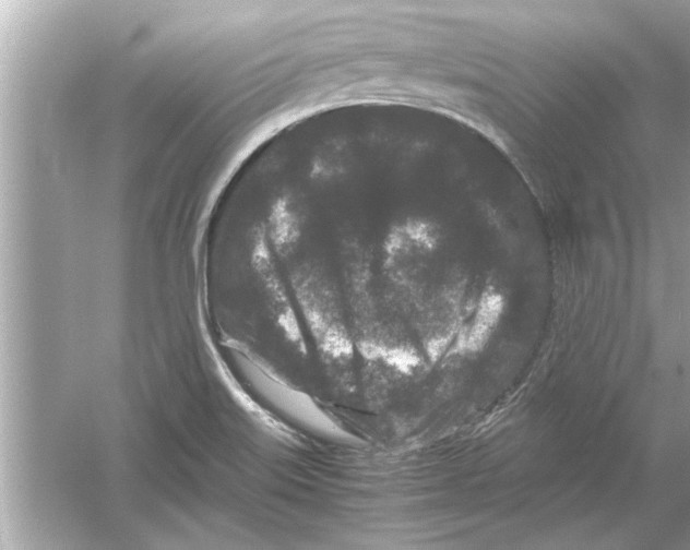 X0000053011515200508051147