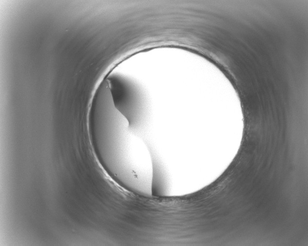 X0000053011516200508051147