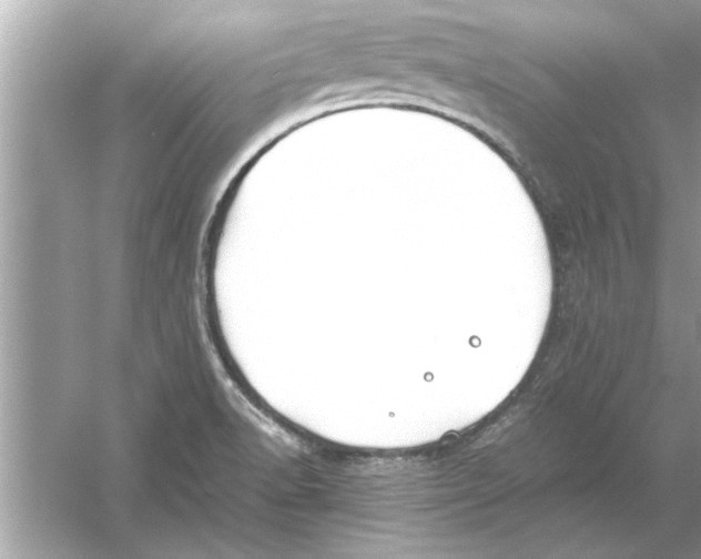 X0000053011518200508051147