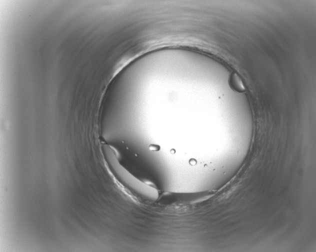 X0000053011521200508051147