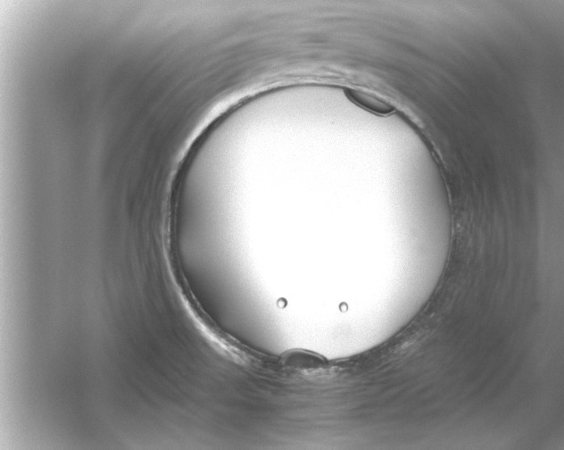 X0000053011523200508051147