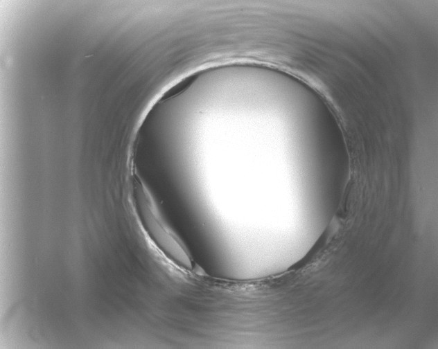 X0000053011524200508051147