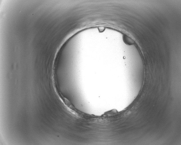 X0000053011525200508051147