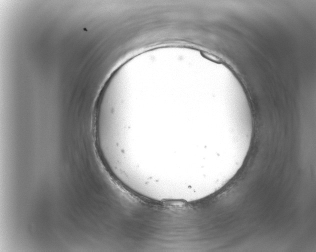 X0000053011526200508051147