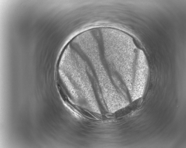 X0000053011527200508051147